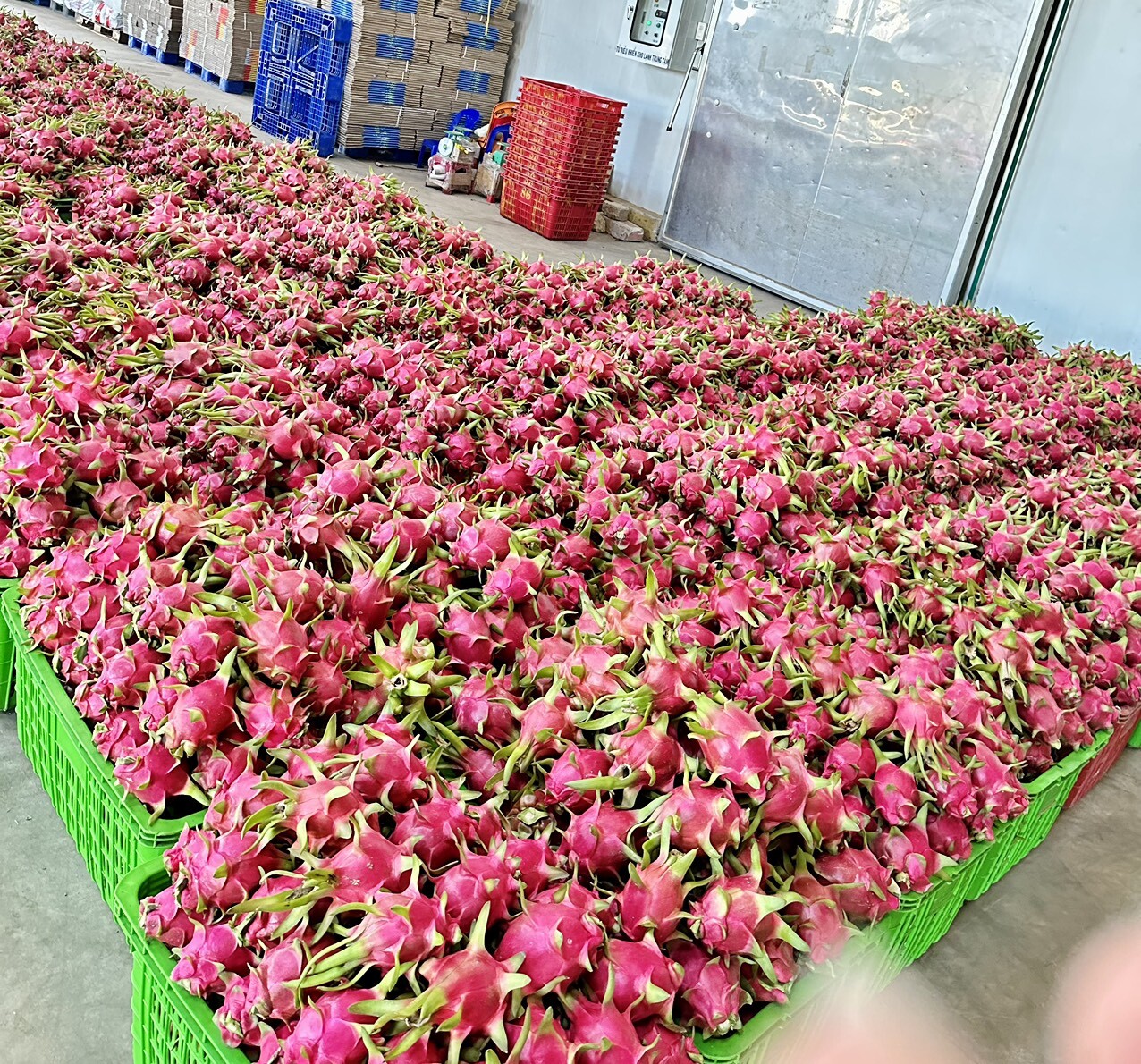 Logigate Supply Chain Solutions 6