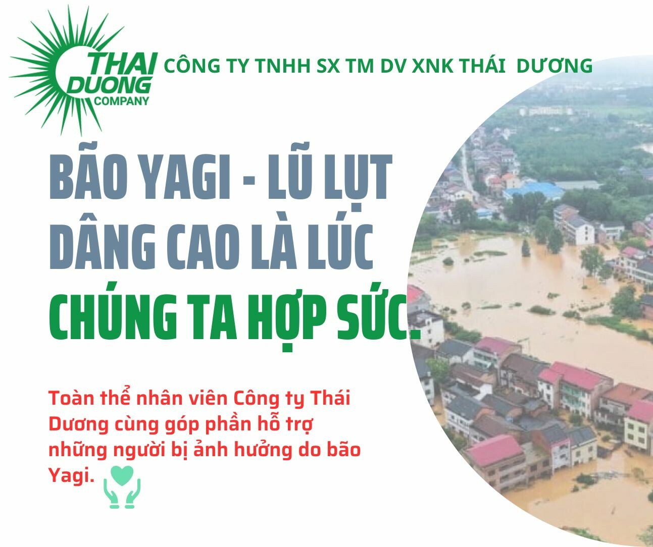 XUẤT NHẬP KHẨU THÁI DƯƠNG 7