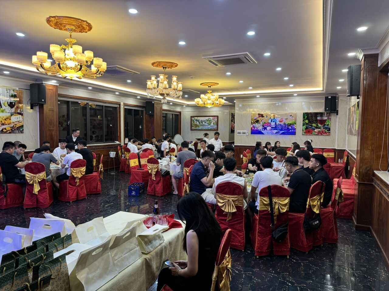 RORZE SYSTEMS VINA 8