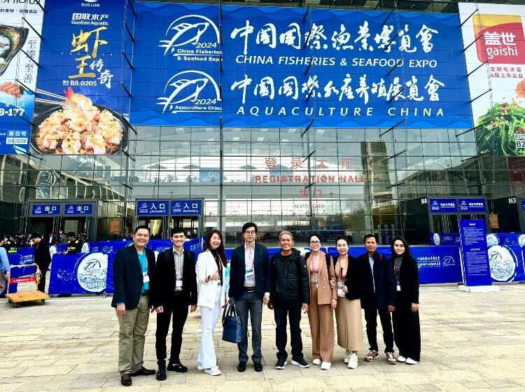 GÒ ĐÀNG - GODACO 3