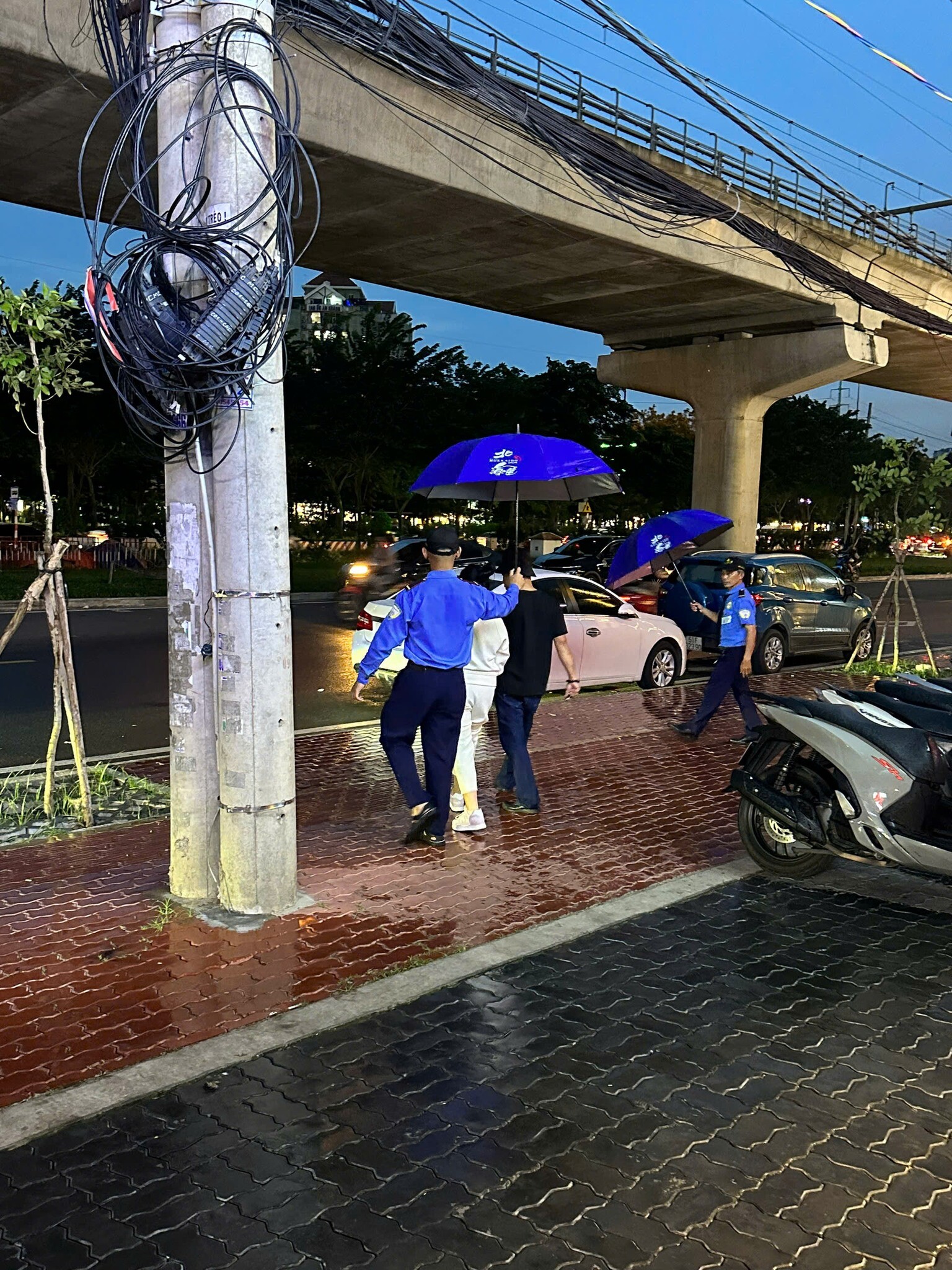 BẢO VỆ HOA SEN 10