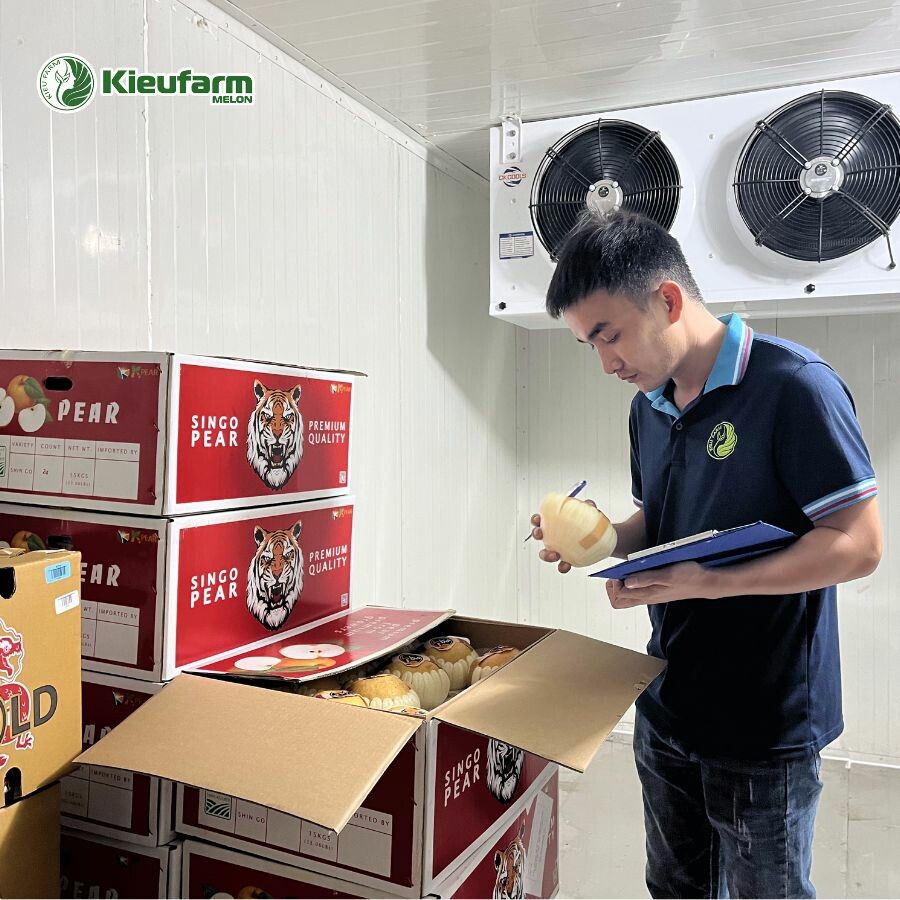 Nông Sản Phú Lâm Tây 4