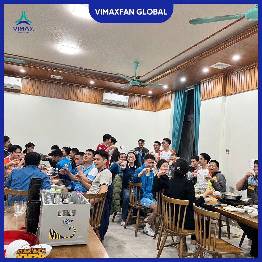 Vimaxfan Global 4