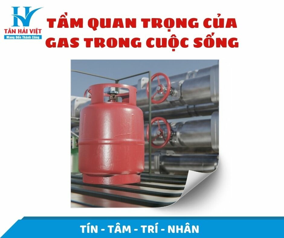 TÂN HẢI VIỆT 8