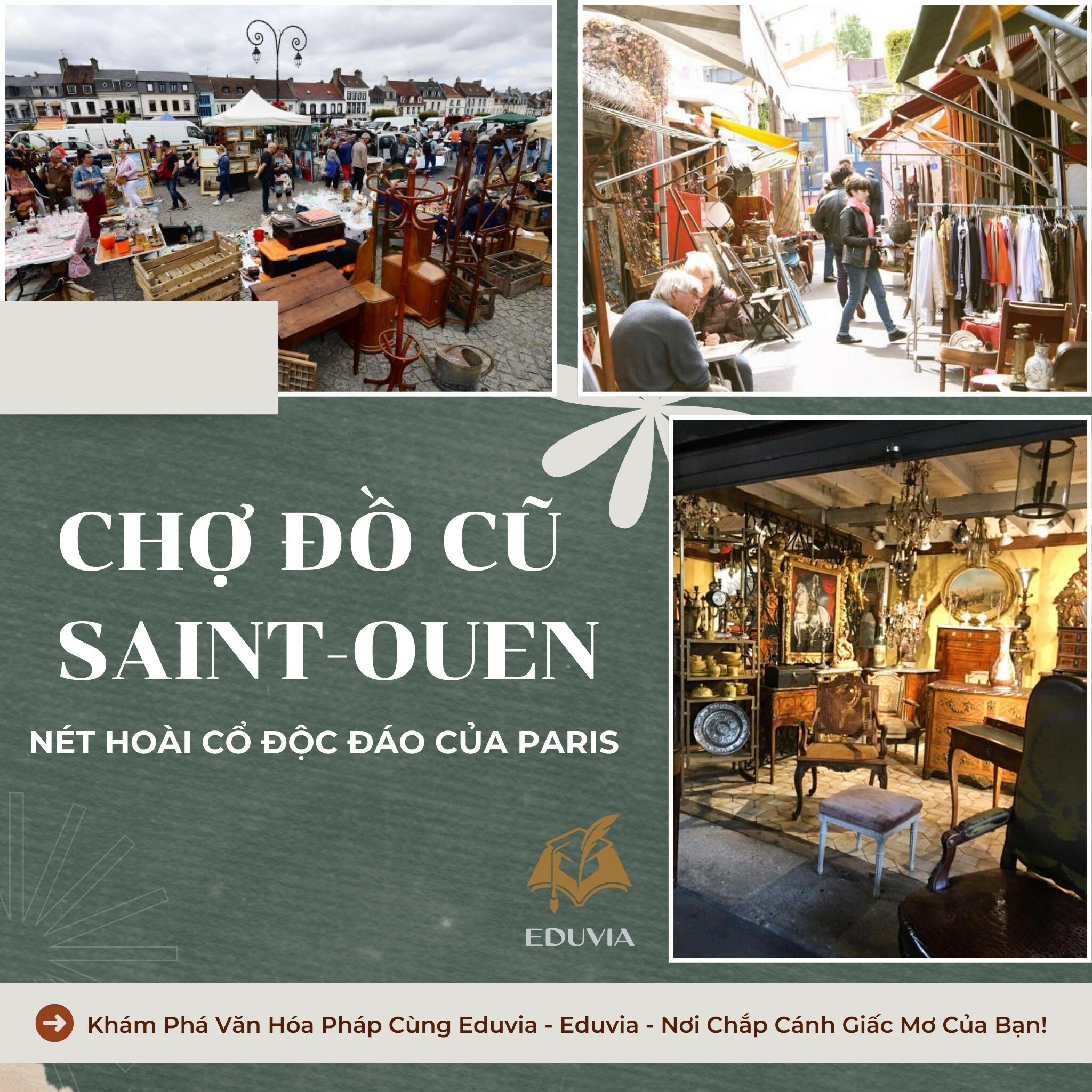 ĐẦU TƯ VÀ TƯ VẤN GIÁO DỤC EDUVIA 8