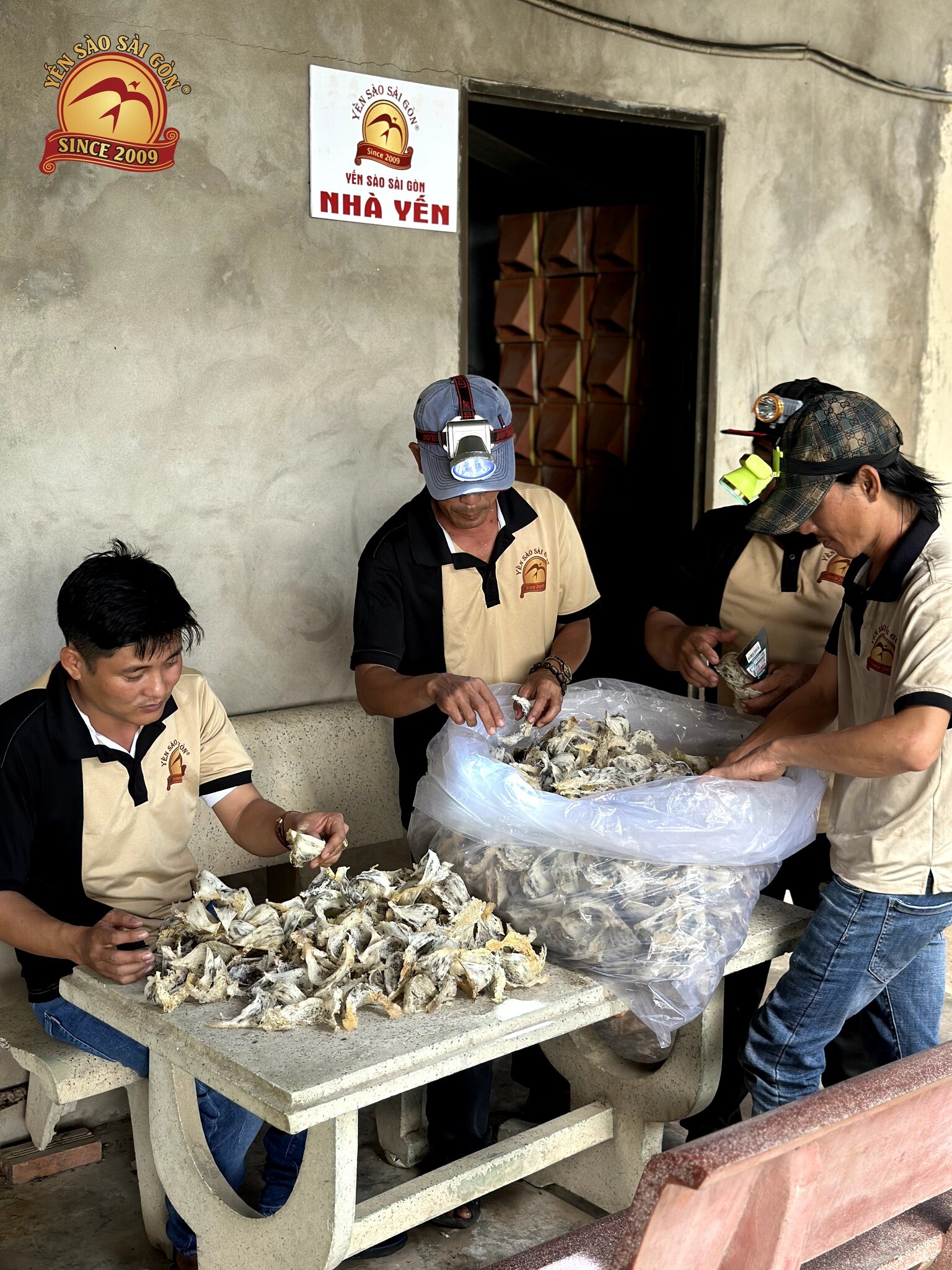 YẾN SÀO SÀI GÒN 3