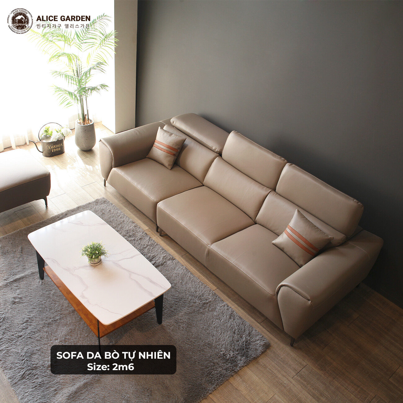 Nội Thất ALICE 8