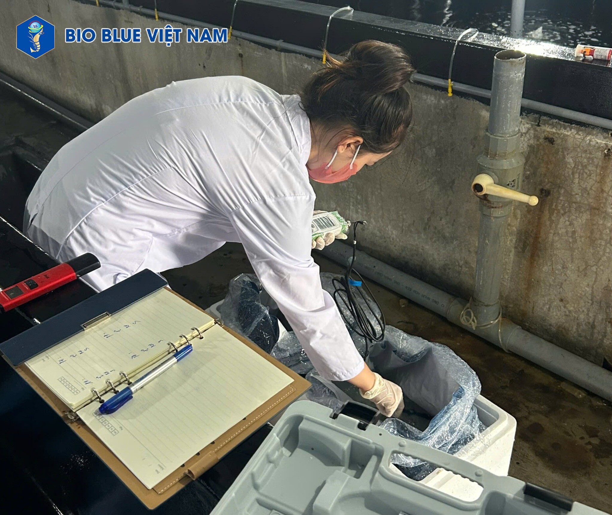 Bio Blue Việt Nam 1