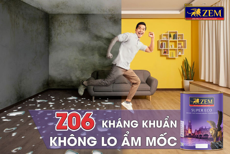 TẬP ĐOÀN QUỐC TẾ ZEM 9