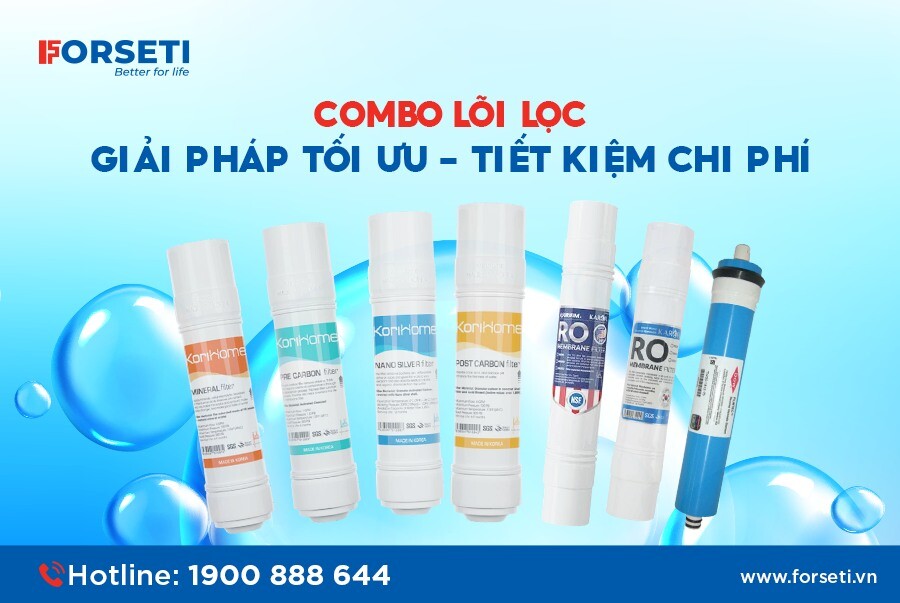 Forseti Việt Nam 8