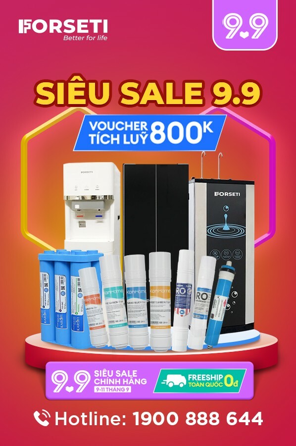 Forseti Việt Nam 5