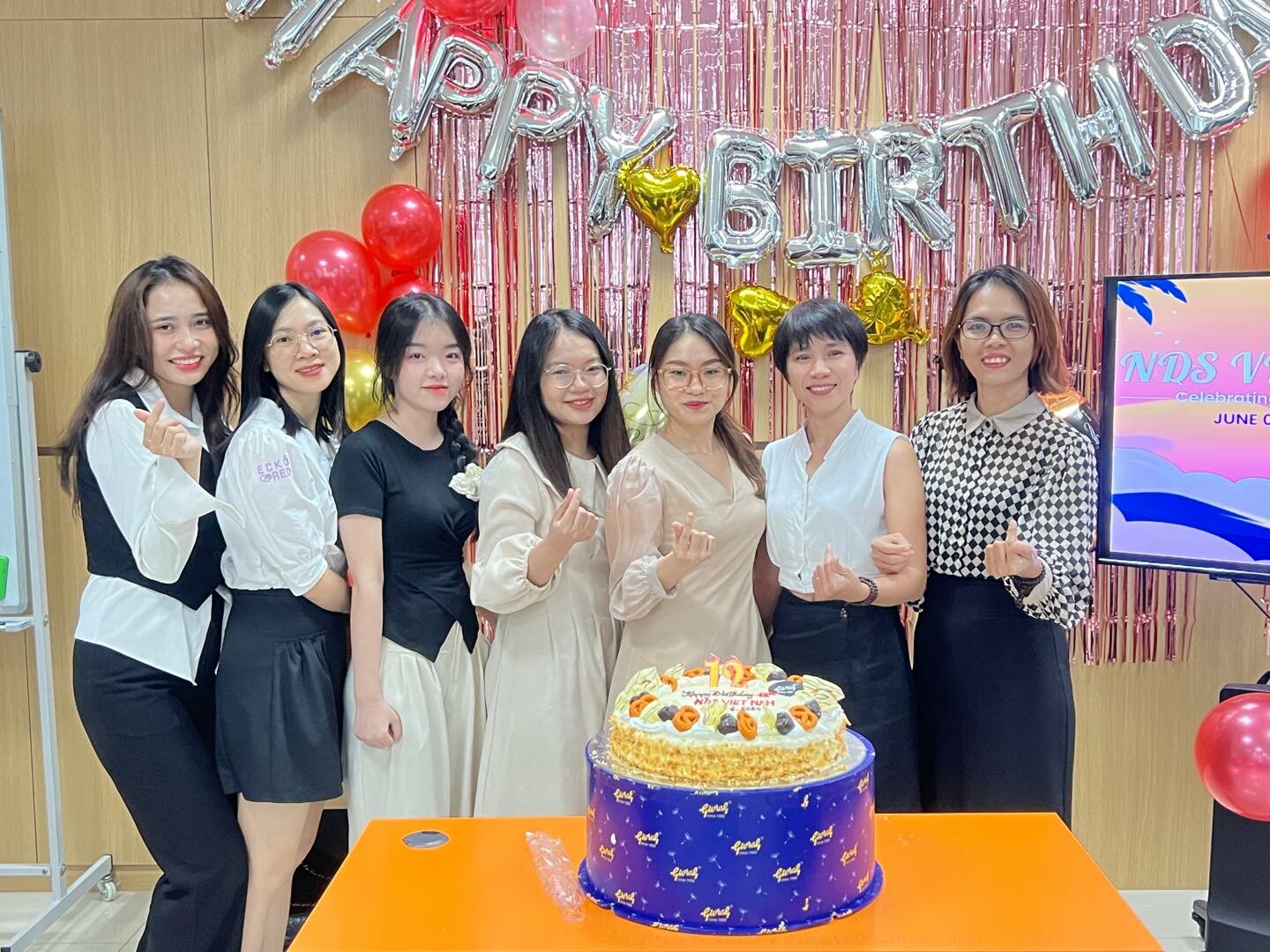 NDS VIETNAM ( DMSpro ) 3