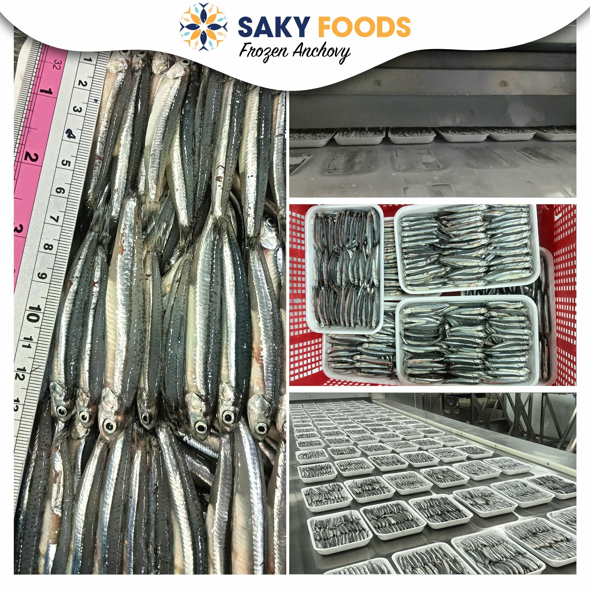 THỰC PHẨM SA KỲ 11