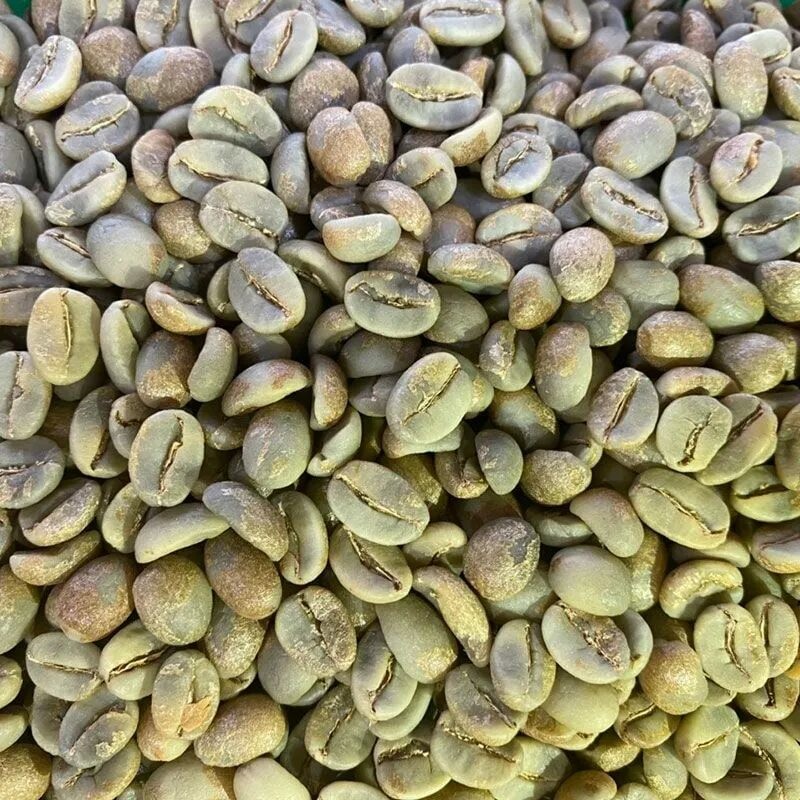 GNF JAPAN COMPANY LIMITED 12