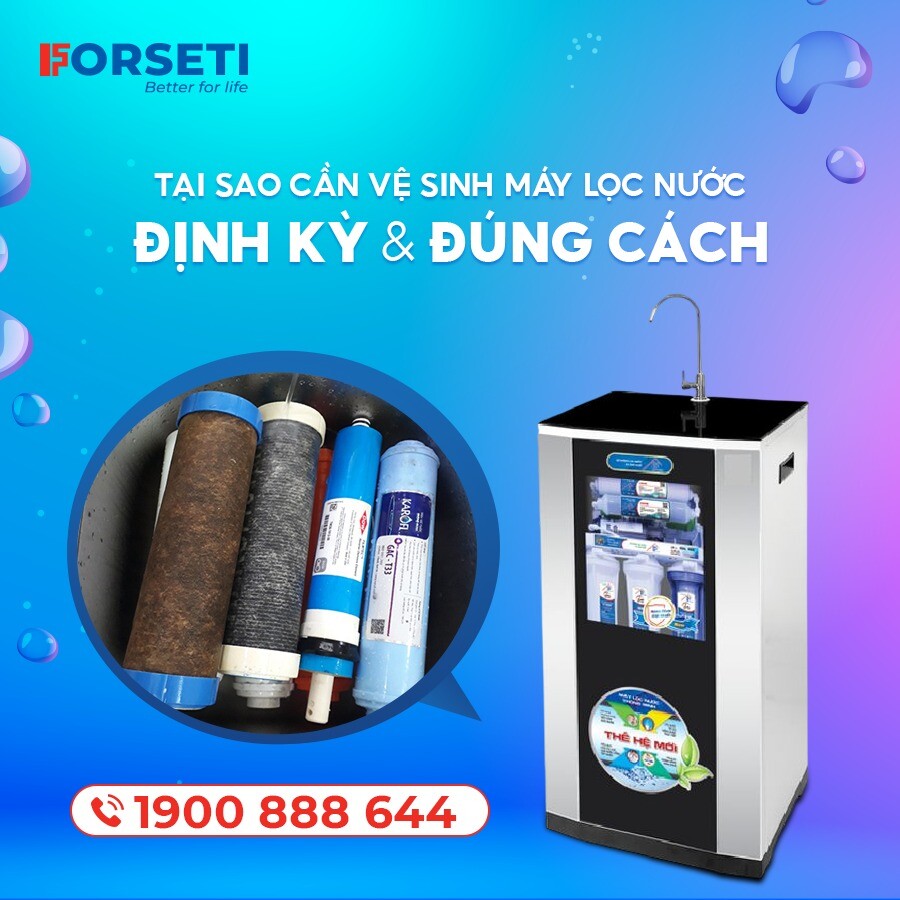 Forseti Việt Nam 9