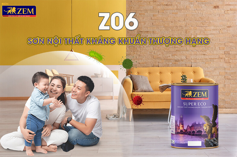 TẬP ĐOÀN QUỐC TẾ ZEM 11