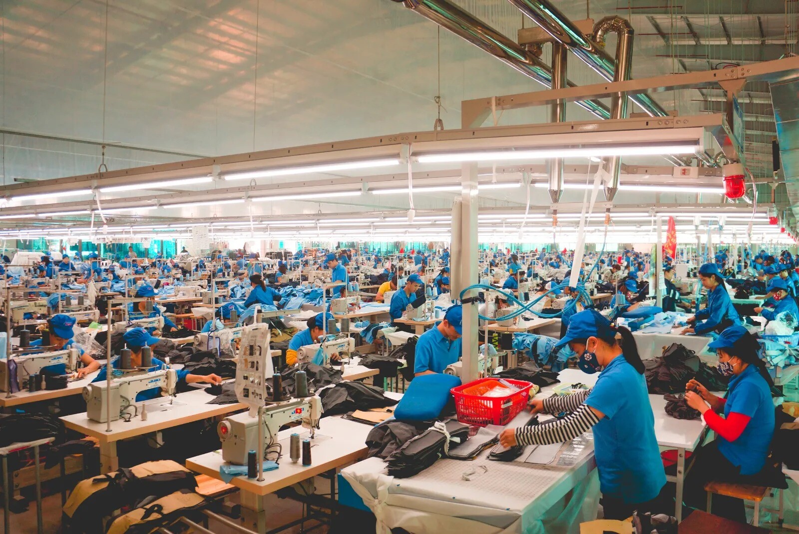 GNF JAPAN COMPANY LIMITED 11