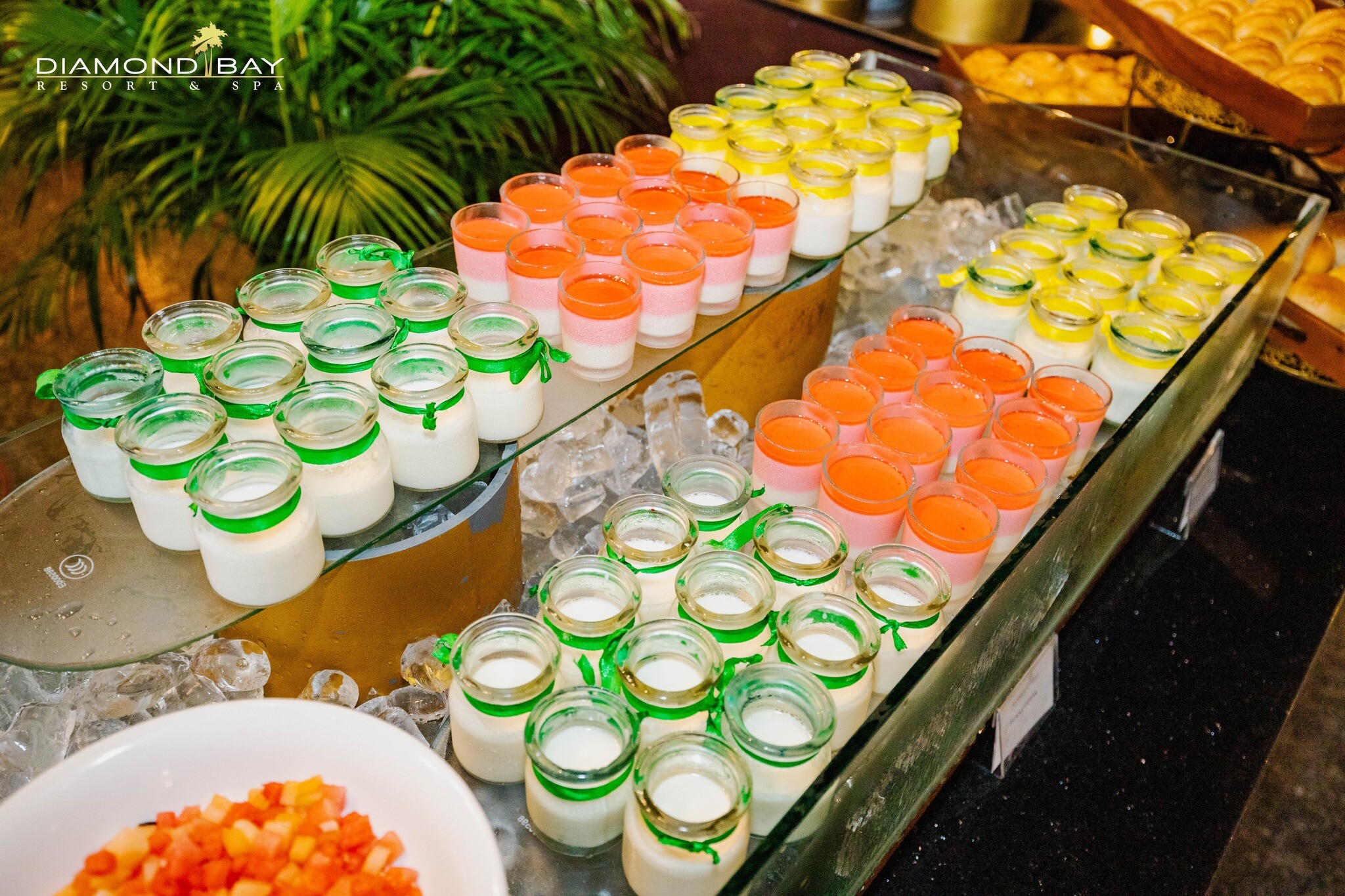 Hoàn Cầu Resort Vịnh Kim Cương 2