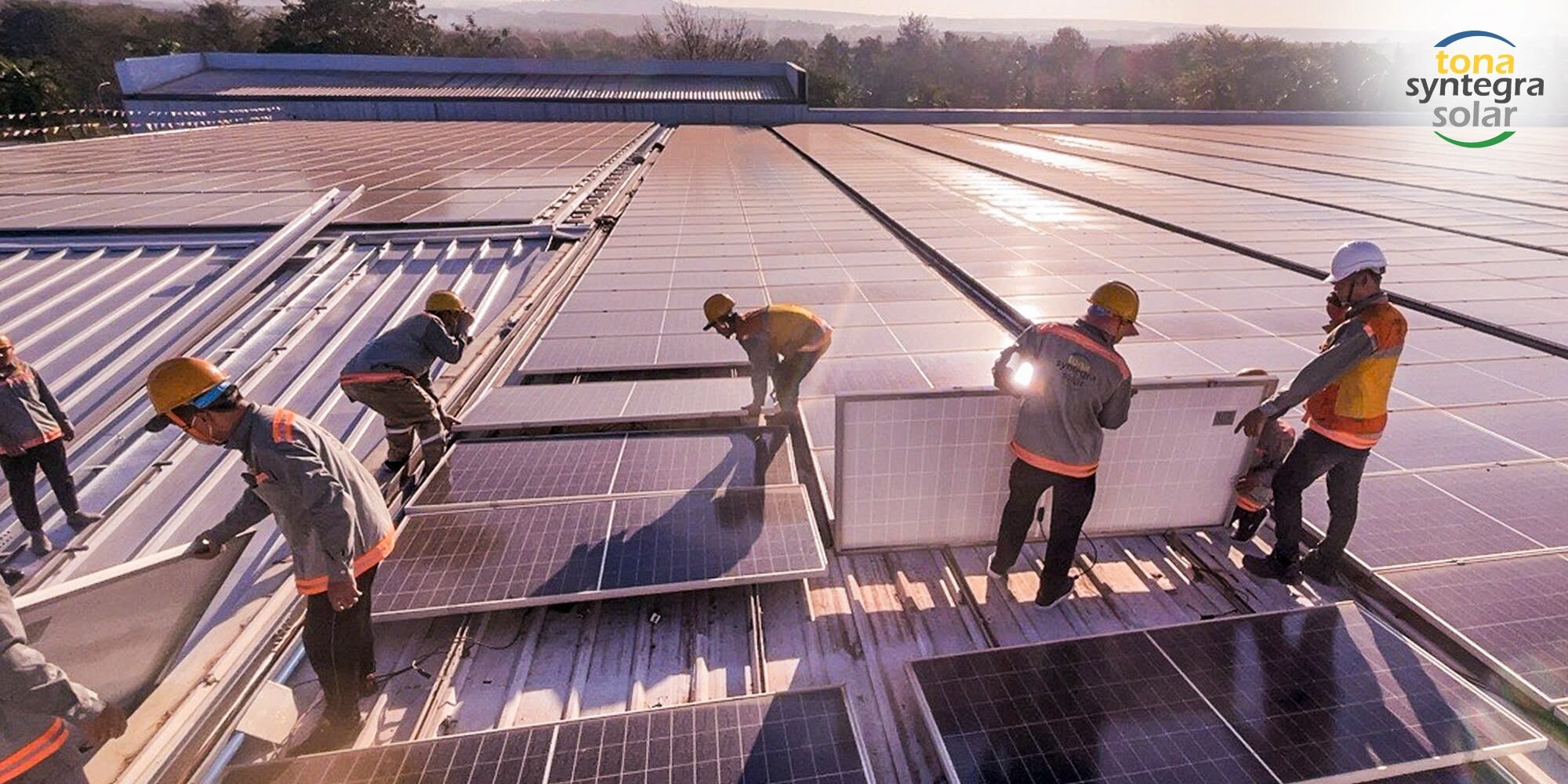 TONA SYNTEGRA SOLAR 3