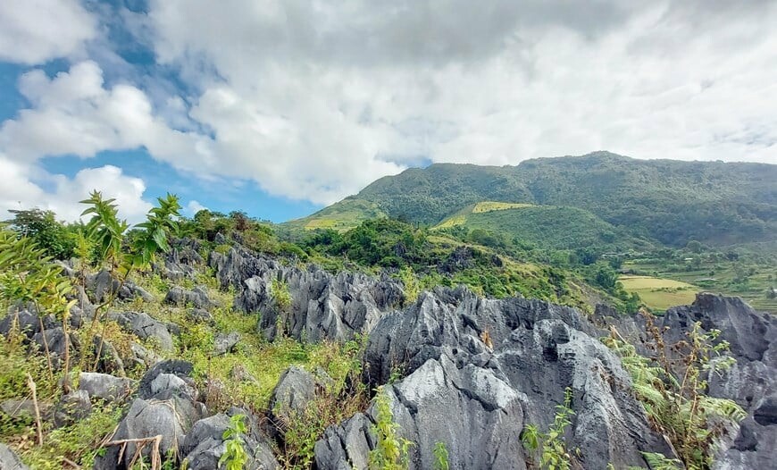 KINH DOANH VÀ THƯƠNG MẠI PHẠM NGUYỄN - Du lịch DiDi 10