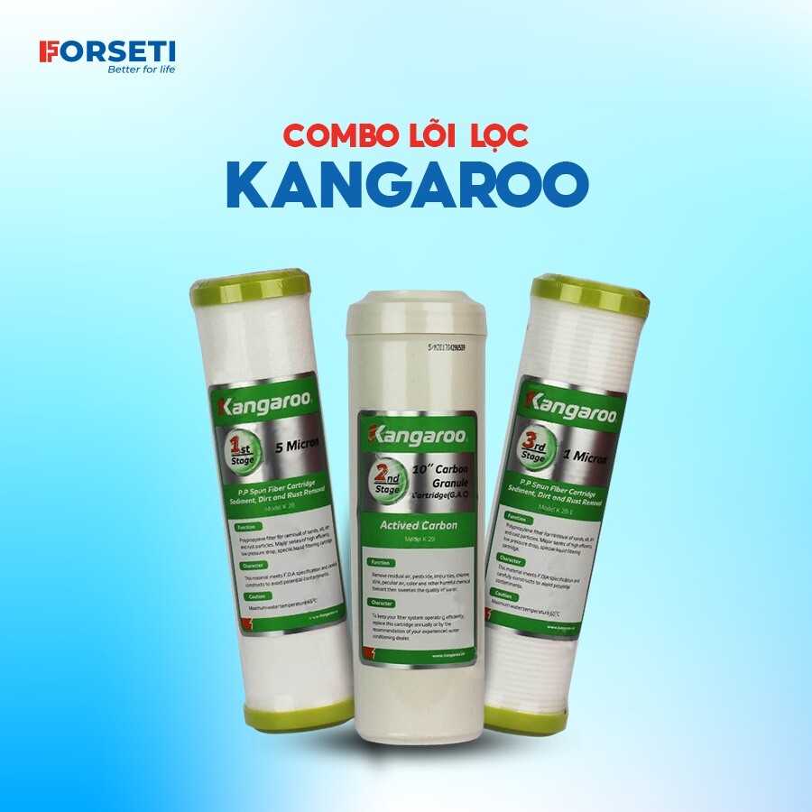 Forseti Việt Nam 6