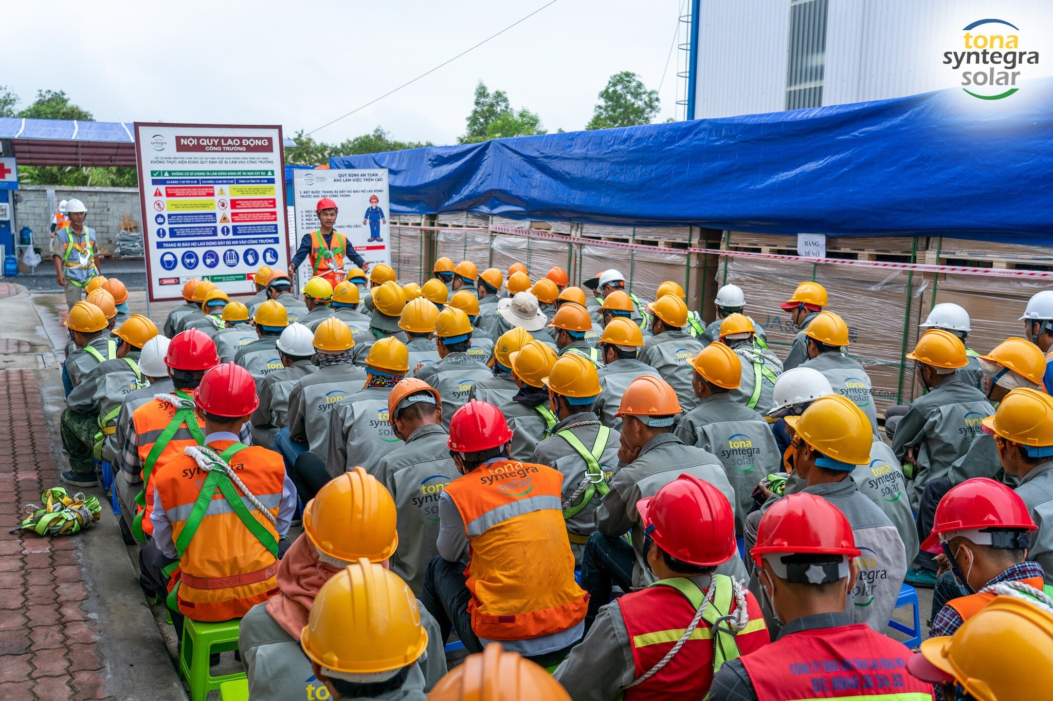 TONA SYNTEGRA SOLAR 4