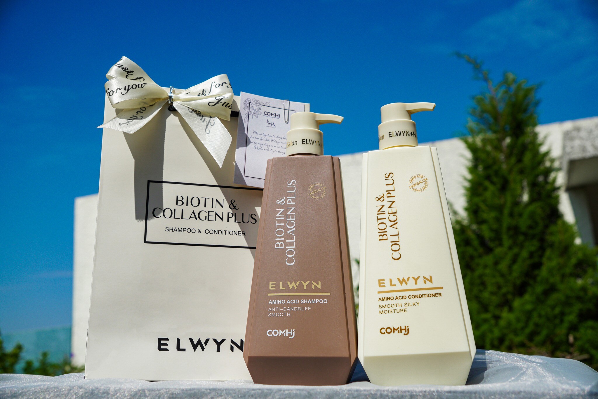 XUẤT NHẬP KHẨU & THƯƠNG MẠI TÙNG LÂM 5