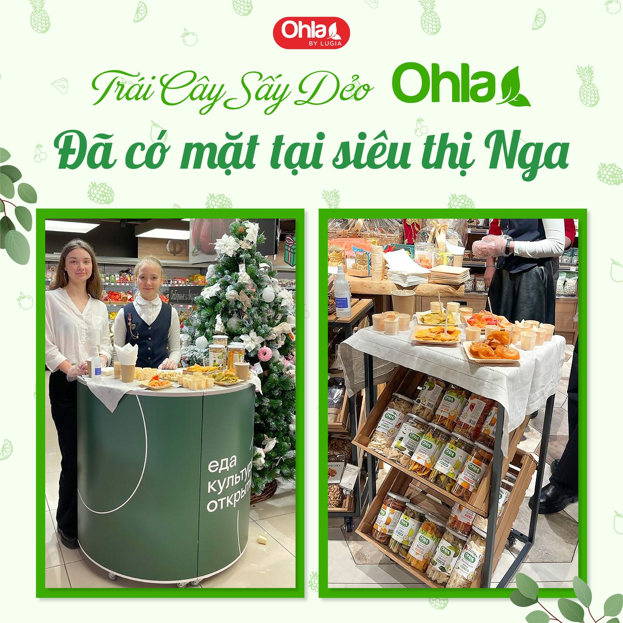 CÔNG NGHỆ THỰC PHẨM LƯƠNG GIA 2