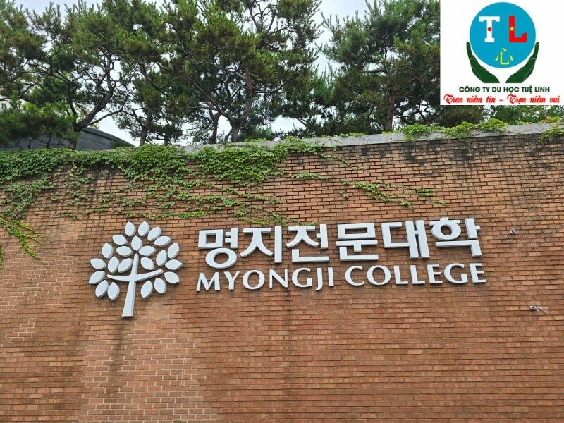 DU HỌC TUỆ LINH 7