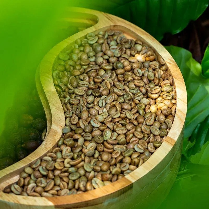 GNF JAPAN COMPANY LIMITED 5