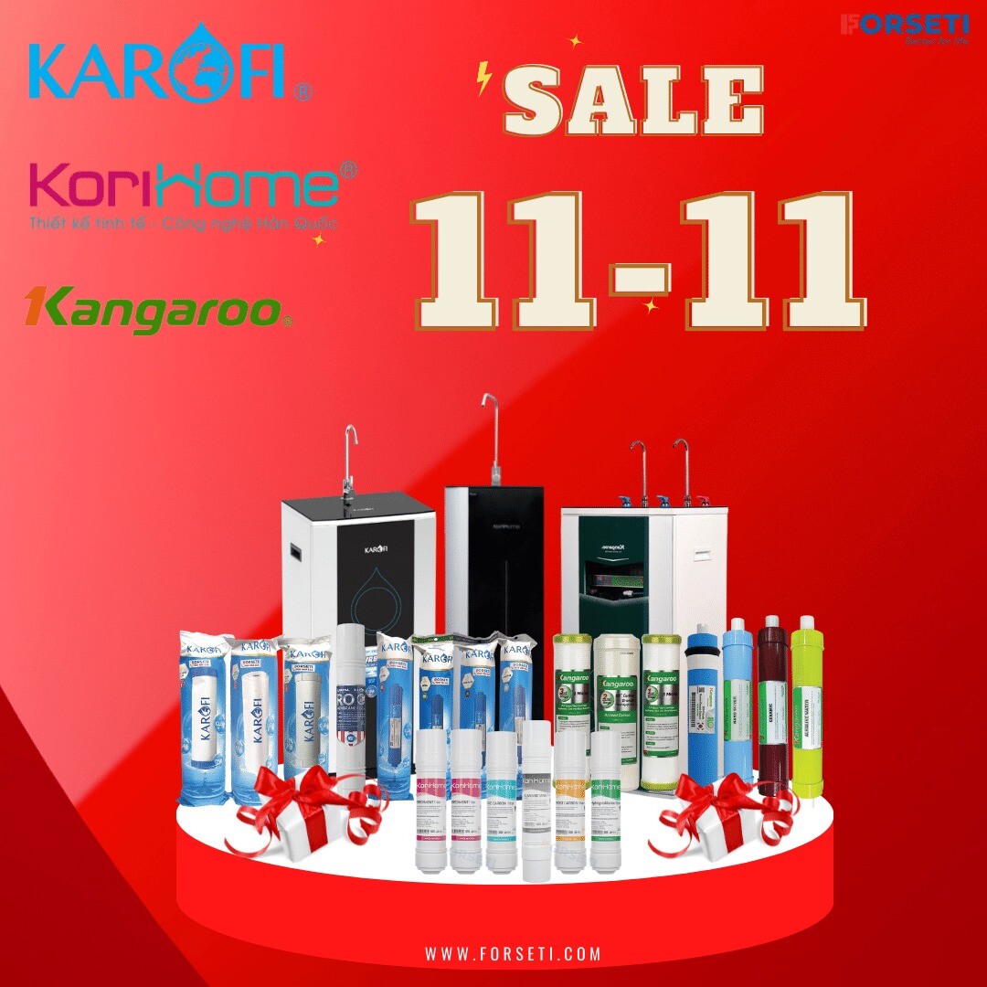 Forseti Việt Nam 4