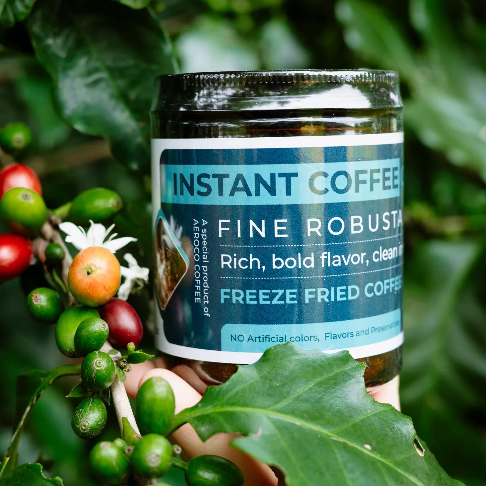 GNF JAPAN COMPANY LIMITED 2