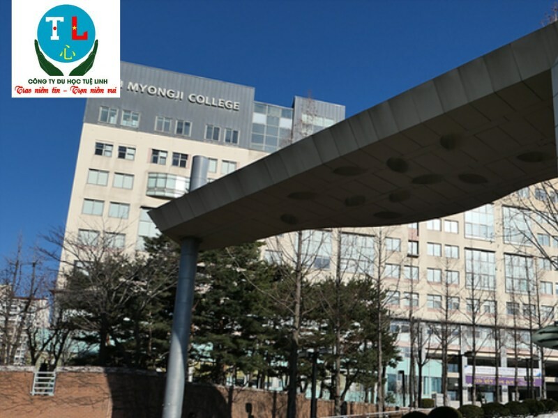 DU HỌC TUỆ LINH 6