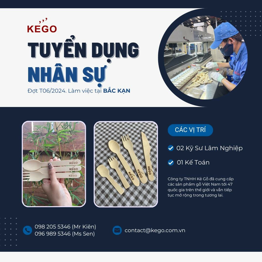 KẺ GỖ 8