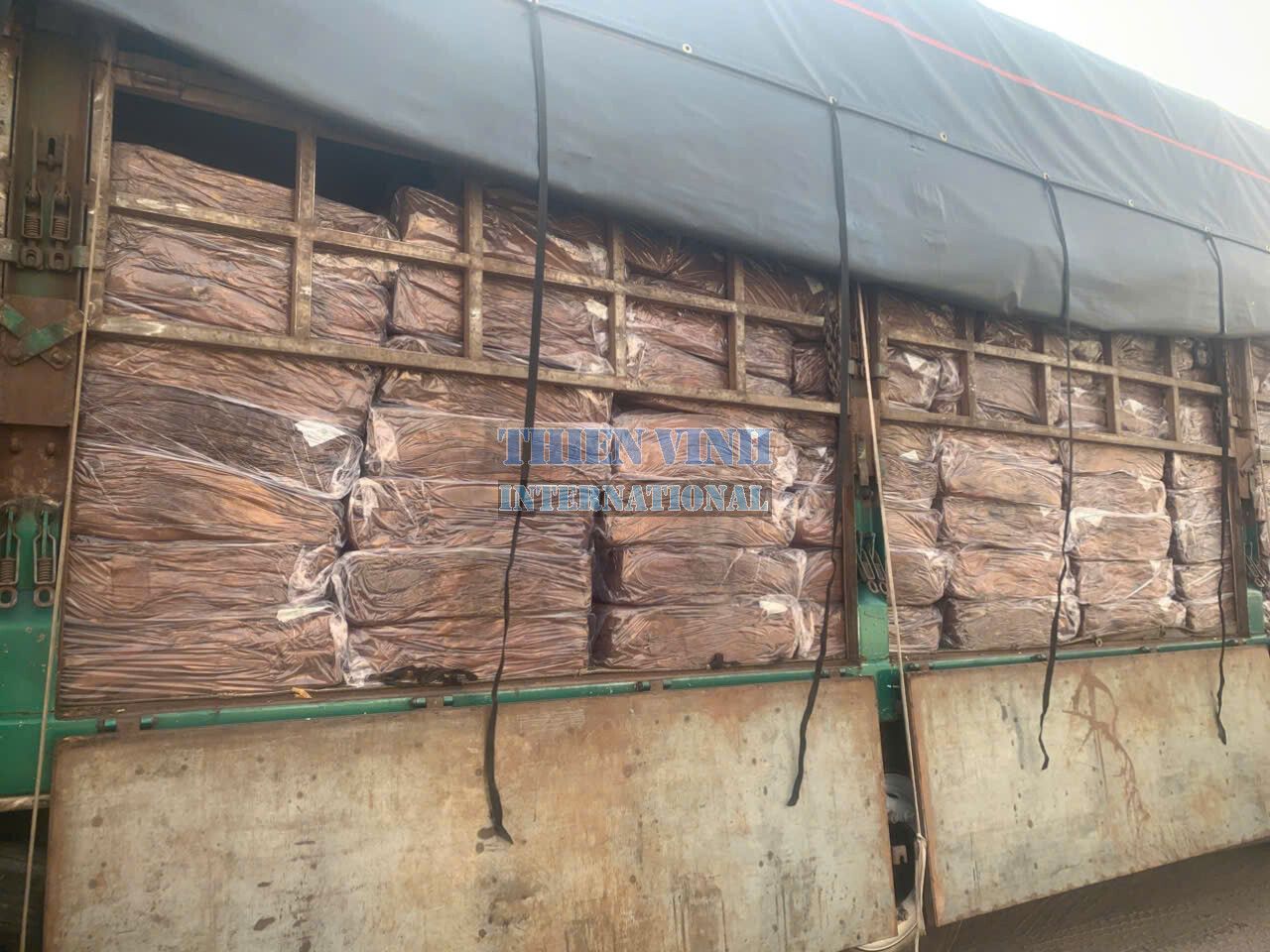 Quốc Tế Thiên Vinh 8