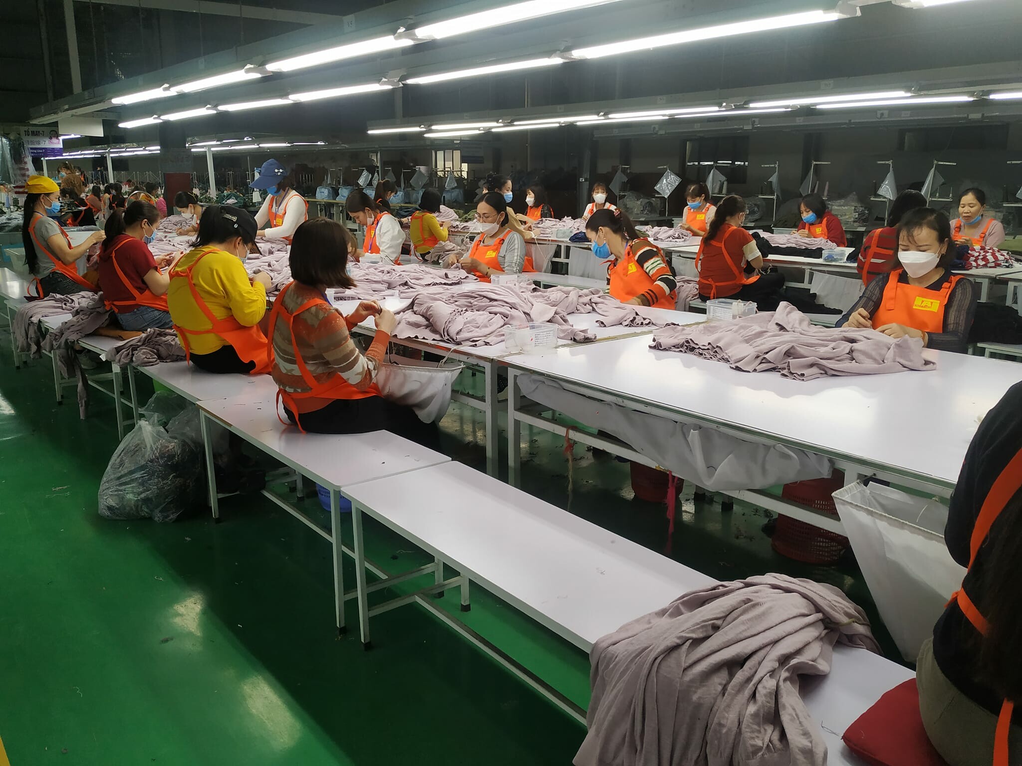 South Asia Garments Limited 3