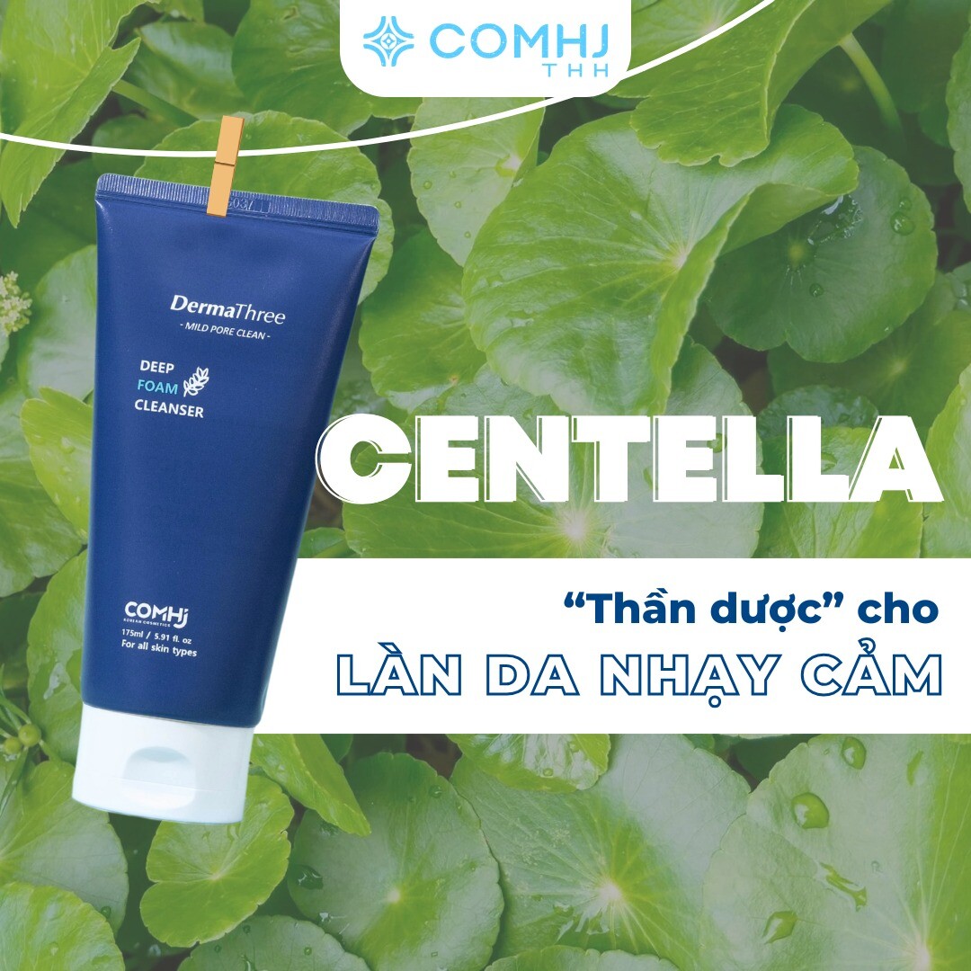 XUẤT NHẬP KHẨU & THƯƠNG MẠI TÙNG LÂM 8