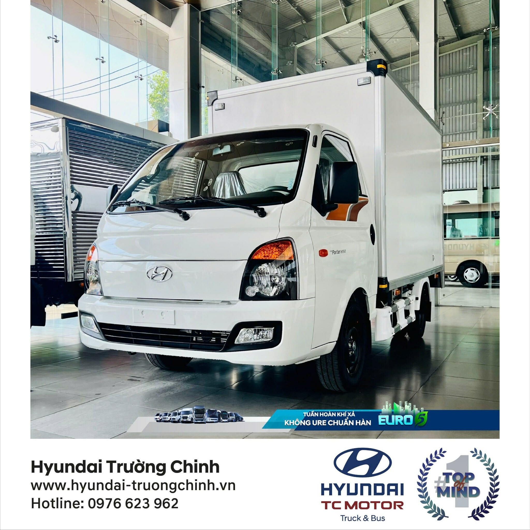 Auto Trường Chinh 10