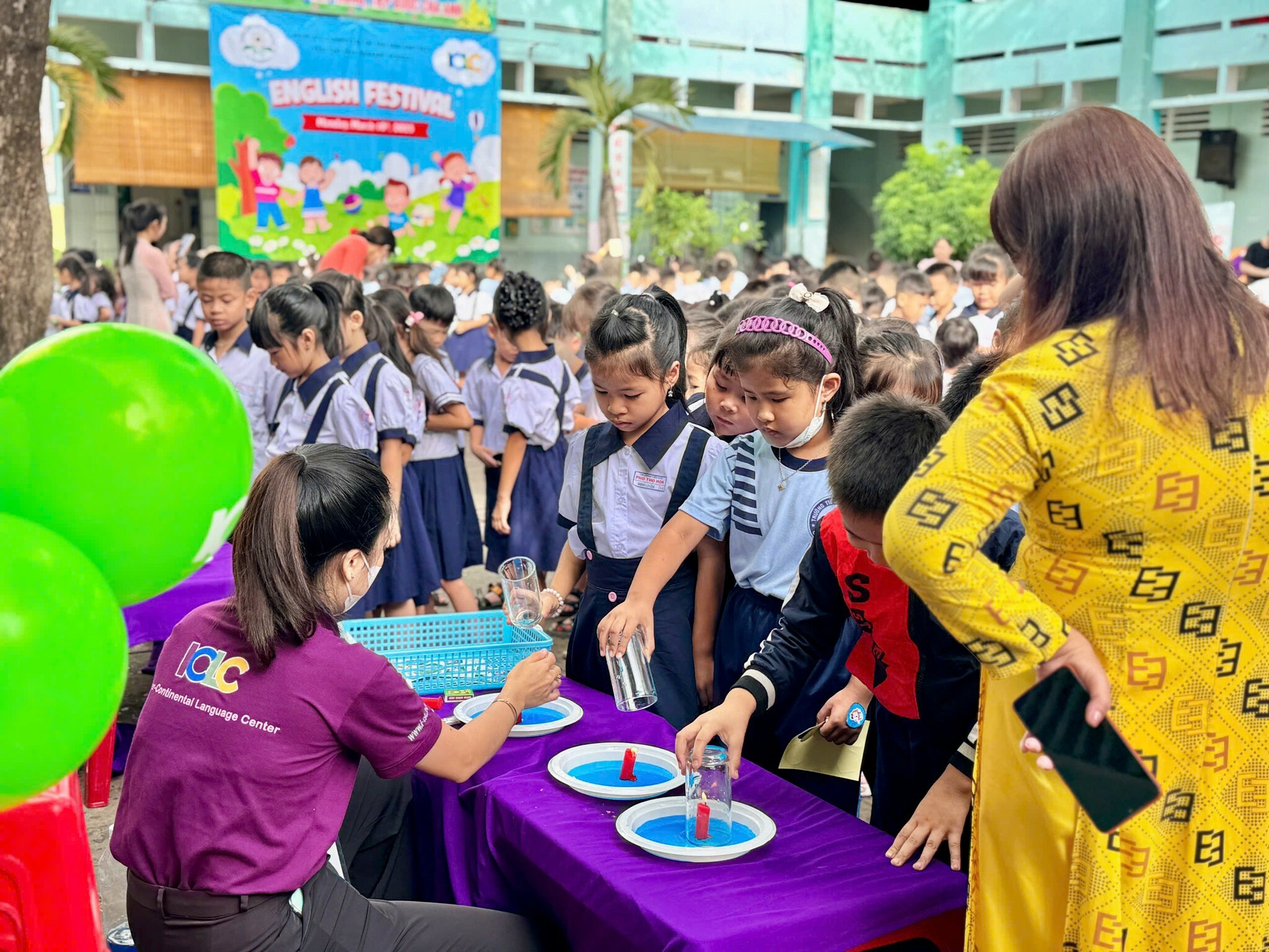 TM và DV Tri Linh 8