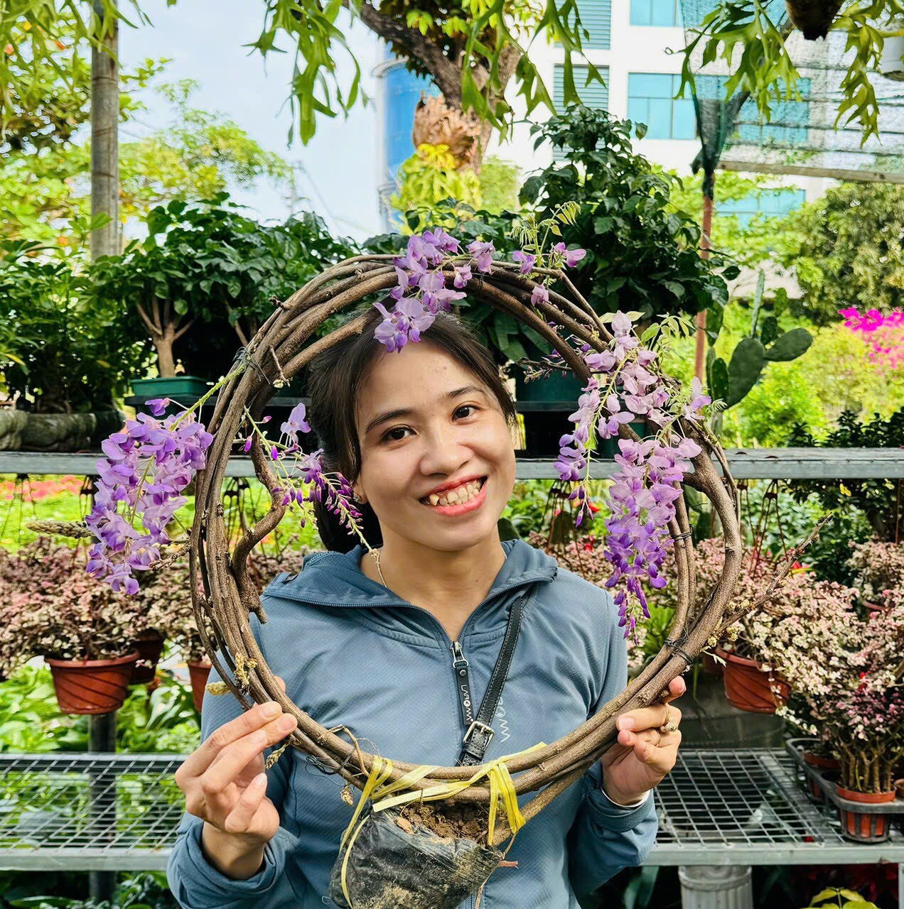 Cảnh Quan Hoa Sen Việt 3