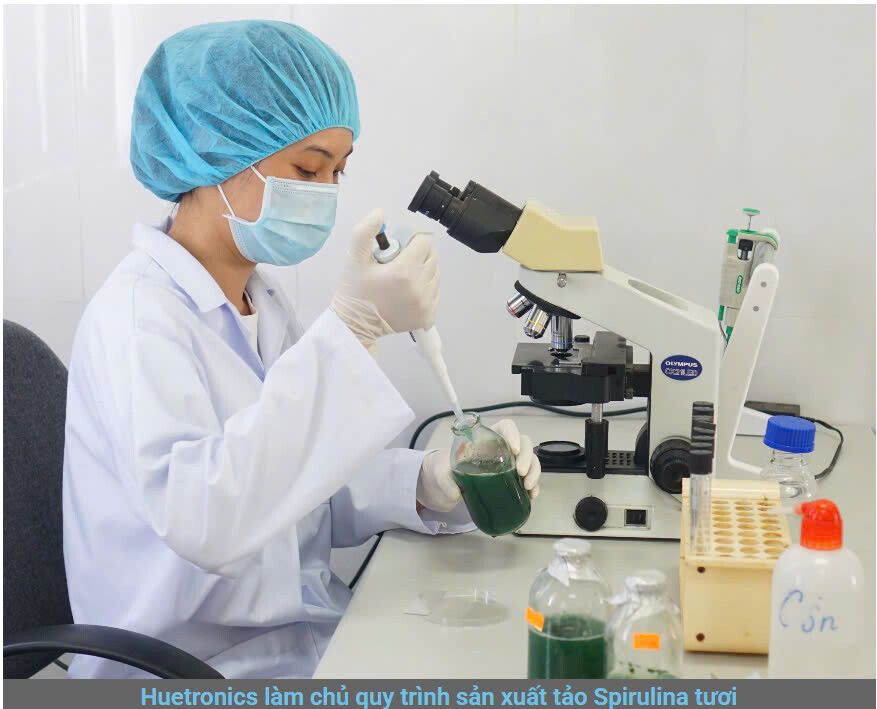 Công ty Cổ phần HueTronics 11