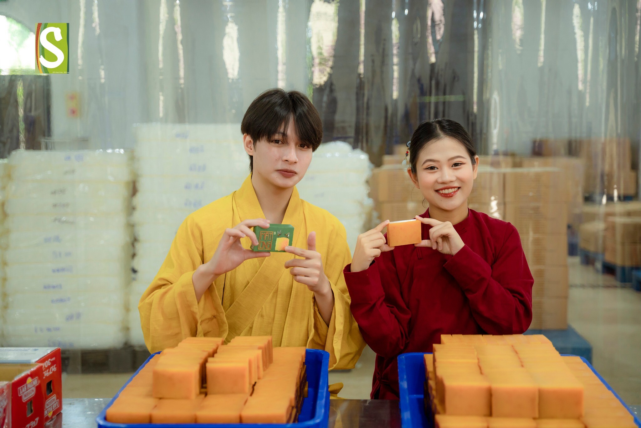 Hợp tác xã Sinh Dược 3