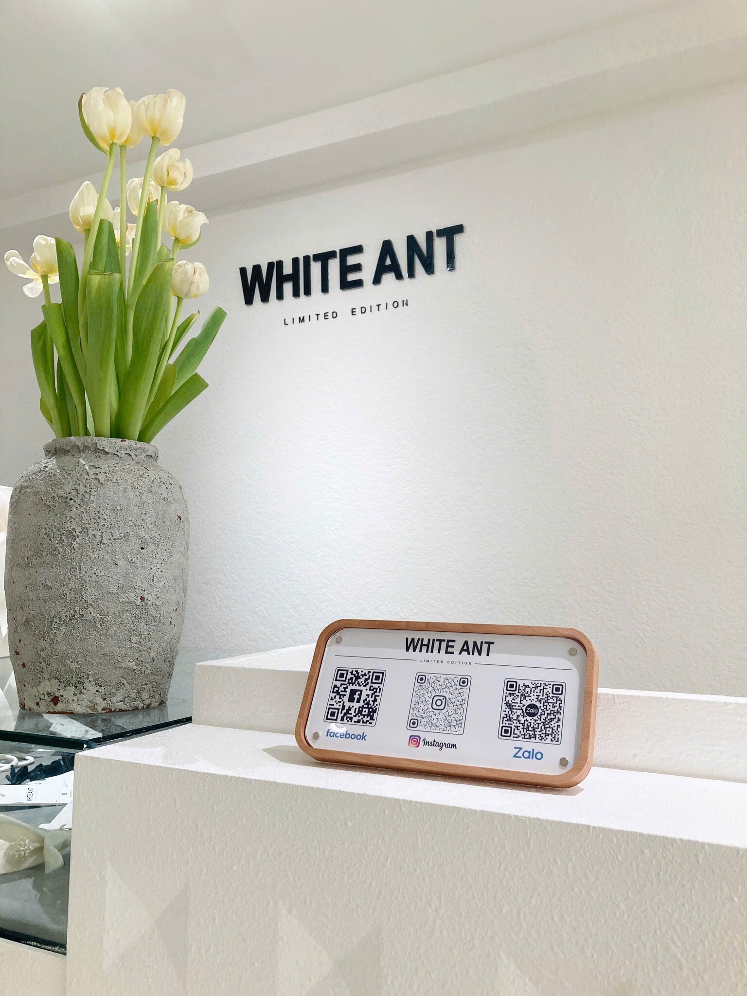 THỜI TRANG WHITE ANT 1