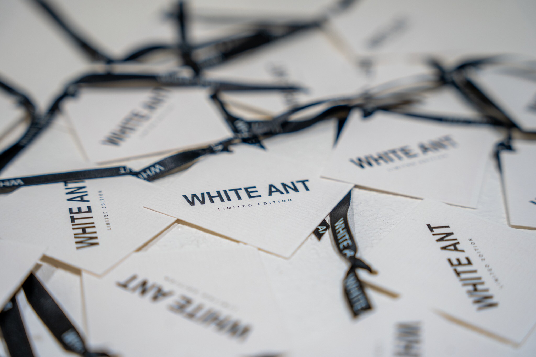 THỜI TRANG WHITE ANT 3