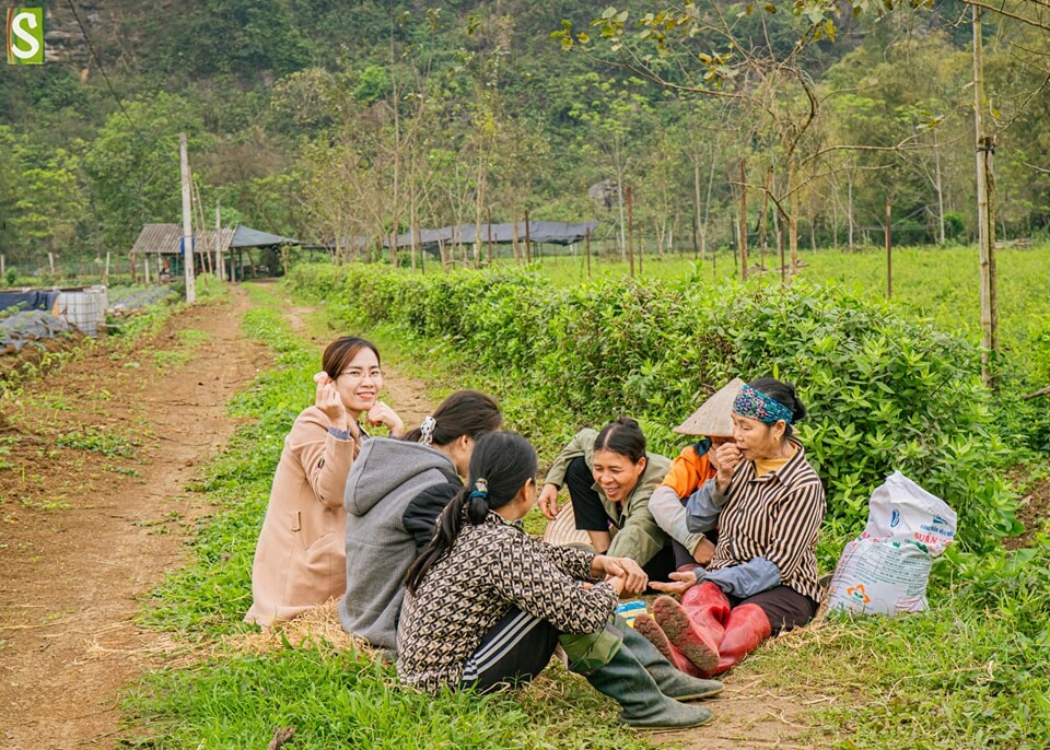 Hợp tác xã Sinh Dược 5