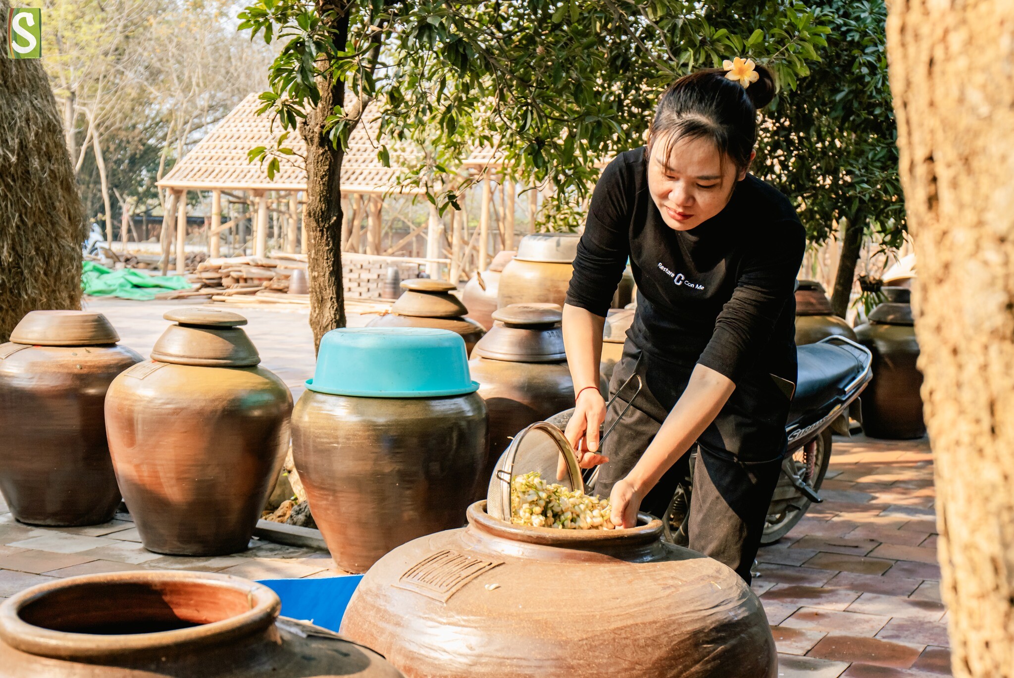 Hợp tác xã Sinh Dược 8