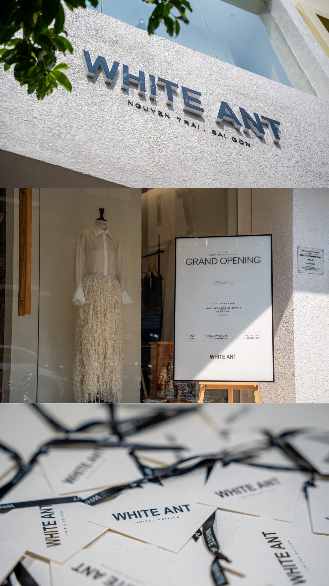 THỜI TRANG WHITE ANT 2