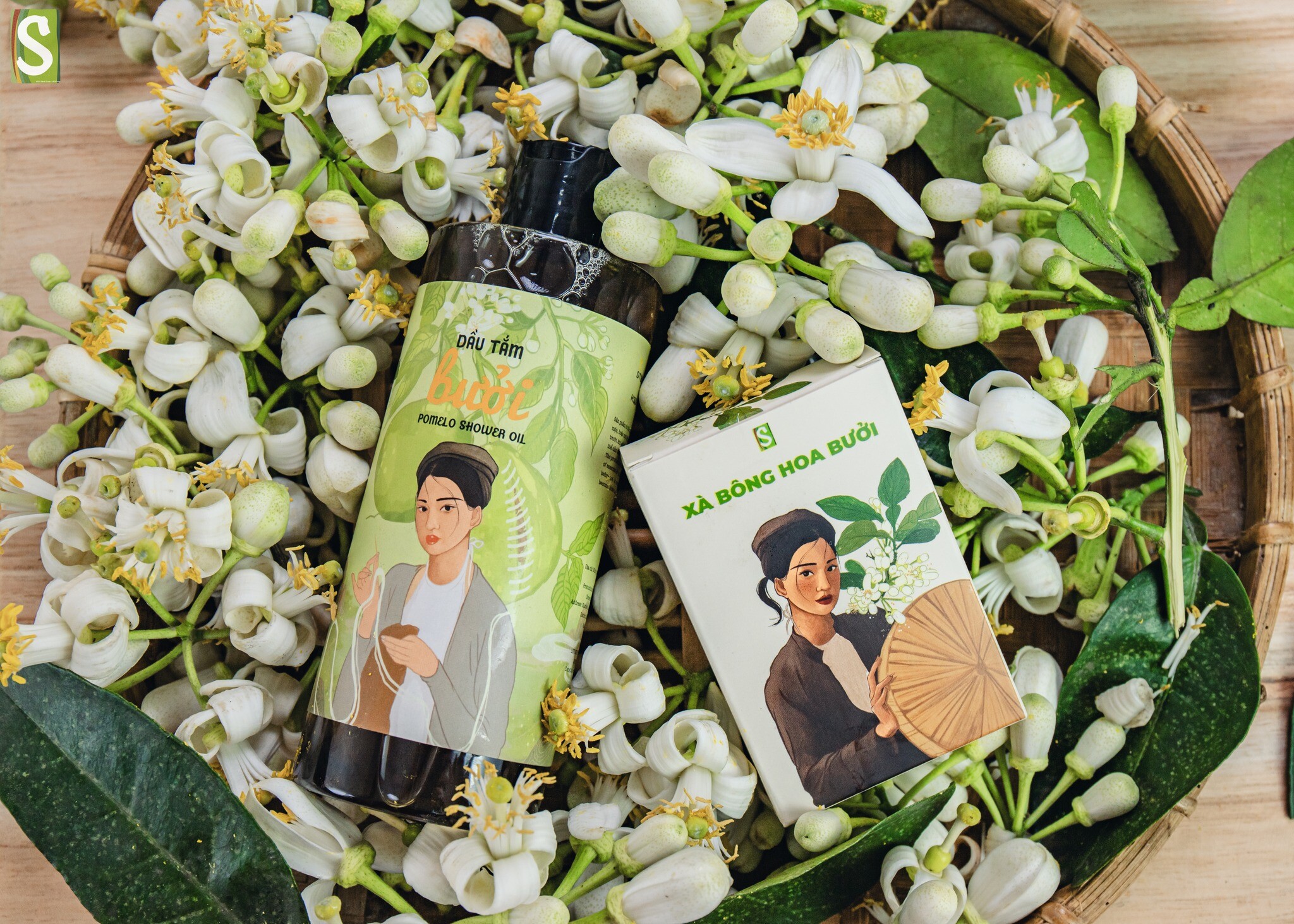 Hợp tác xã Sinh Dược 6