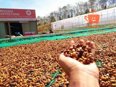 Thương mại đầu tư DATHACO 7