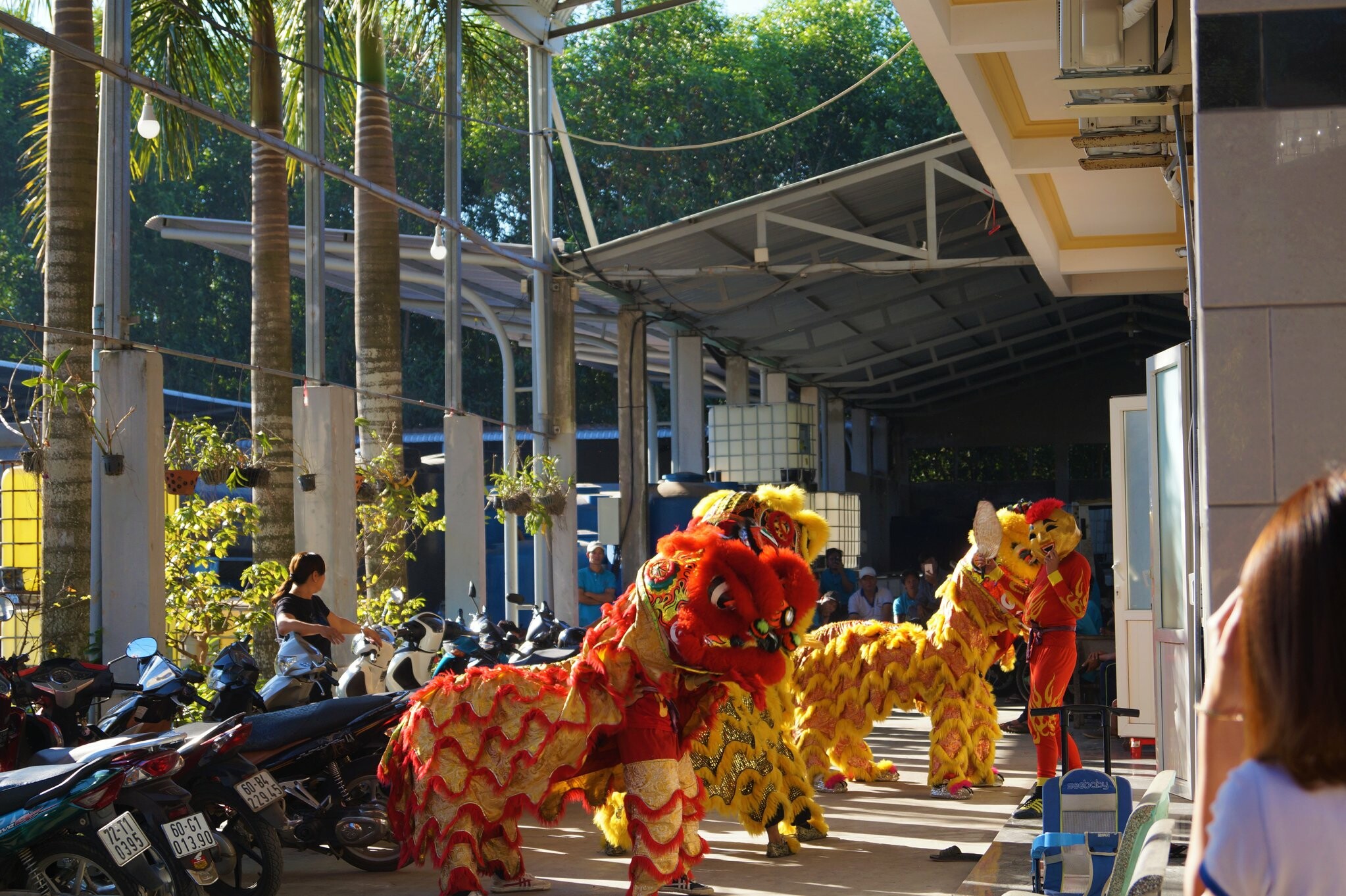 SẢN XUẤT THƯƠNG MẠI DỊCH VỤ HOÁ CẢNH 10